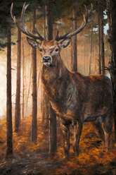Anthony Dobson Forest Gaze Limited Edition artwork