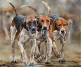 Anthony Dobson Out in Front art print