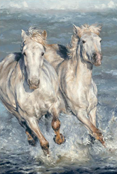 Anthony Dobson The Tempest Limited Edition artwork