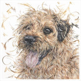 Aaminah Snowdon Happy Go Lucky New for 2019