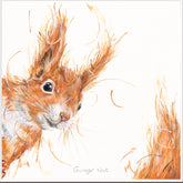 Aaminah Snowdon Ginger nut squirrel new release artwork