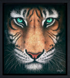 Colin Banks Eye of the Tiger art portrait wildlife