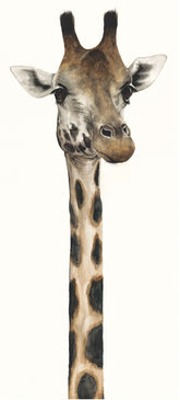 Tall, dappled and handsome dominique salm