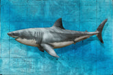 Nick oneill shark artwork mixed media hand finished limited edition
