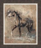 Josie Appleby The Noble Horse framed