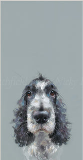 Nicky Litchfield Can I come too ? dog portrait