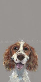 Nicky Litchfield Happy Go lucky cocker spaniel
