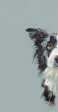 Nicky Litchfield Curious Collie mounted artwork