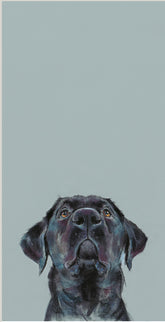 Nicky Litchfield Treat time black labrador artwork