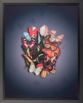 Nuala mulliagan lenticular artwork enlightenment butterflies skull