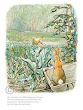 Beatrix Potter-Peter Rabbit | Official Collector's Edition | Free UK Delivery 