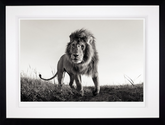 Anup Shah Hunter framed