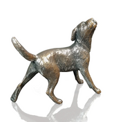 Richard Cooper Small Border Terrier solid bronze sculpture