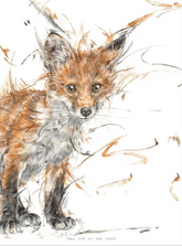 Aaminah Snowdon new cub on the block