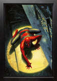 alex Ross marvel canvas spiderman framed