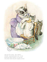 Beatrix Potter-Tom Kitten | Official Collector's Edition | Free UK Delivery