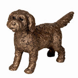 Sparky Standing Cockapoo