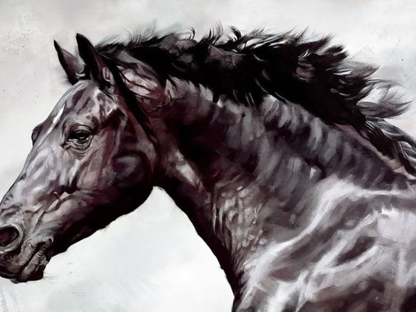 Equestrian Artwork