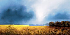 Landscapes
