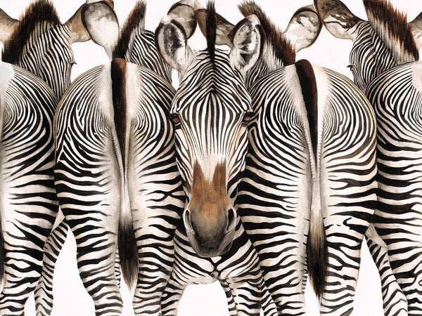 Exotic Animals
