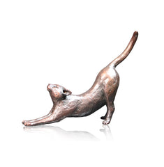 Richard Cooper Cats