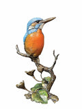 Kingfisher with Meadow Marsh (1162) by Richard Cooper
