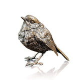 Robin Standing 1216