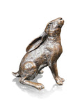 Hare Sitting