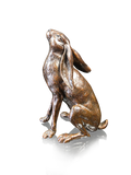 Hare sitting