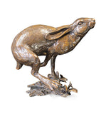 Hare Running