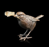 A small sparrtow holding a feather in its beak.
