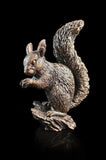 Red Squirrel (1294) holding a small nut with bushy tail