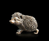 A baby hegdehog win a alert pose