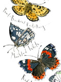 Madeleine Floyd Butterflies I mounted