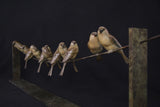 Bronze sculpture of 12 birds perched on a wire against a black background
