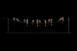 Bronze sculpture of 12 birds perched on a wire against a black background