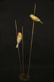 Two gold birds perched on thin rods against a black background