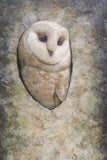 A painted barn owl centered against a textured stone-like background in muted beige, gray, and brown tones.