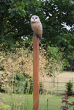 Bronze Owl perched on a steel post with greenery in the background