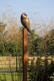 Bronze owl sculpture on a stand in a natural setting with tall grass and trees.