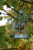 Bronze sculpture of small bird perched inside a decorative metal birdcage against a natural background of leaves.