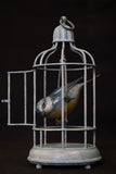 Bronze birdcage with a bird inside on a black background