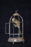 Bronze sculpture of sparrow bird perched inside bird cage on a black background.