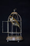 Bronze sculpture of sparrow bird perched inside bird cage on a black background.