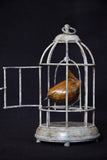 Bronze sculpture of birdcage with a wren bird inside on a black background