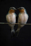 Bronze sculpture of two birds perched on a metal stand against a black background