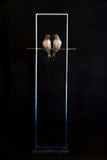 Bronze sculpture of two birds perched on a metal stand against a black background