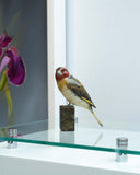 bronze sculpture of bird on a stand with a blurred background