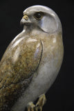 Bronze sculpture of a kestrel on a black background