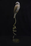 Bronze sculpture of a kestrel perched on a coiled base against a black background